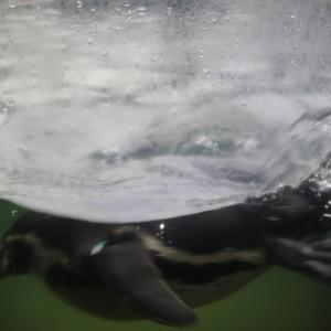 相约中国裸体唯美私拍
